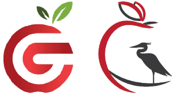 Georgia Learning Resources System Logo