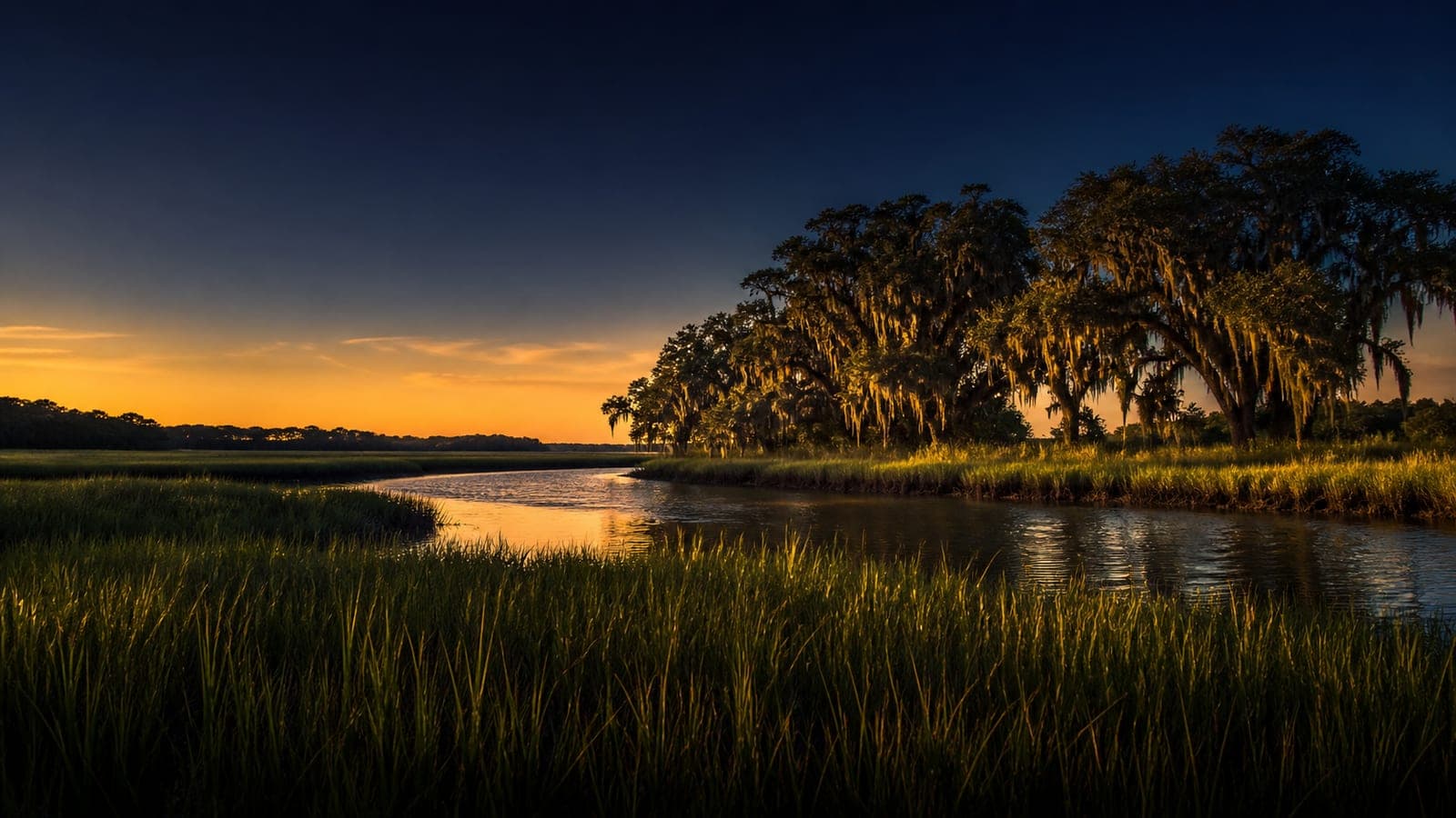 Salt marsh and live oaks at golden hour in coastal Georgia